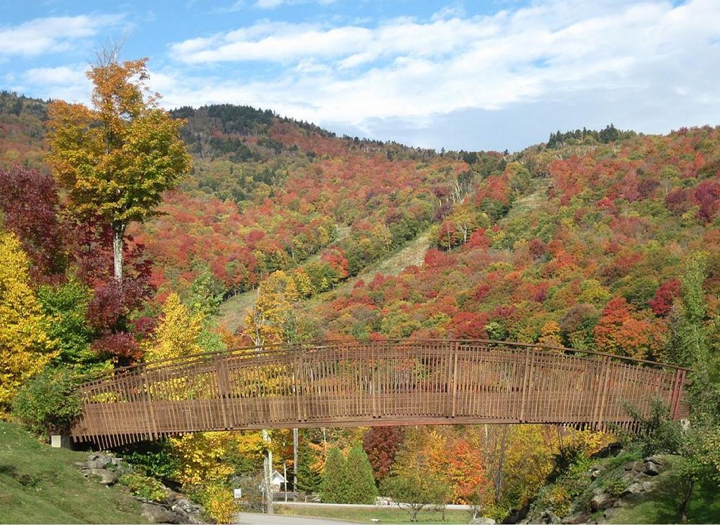 Ski In/Out Trailside Townhome Killington Exterior foto