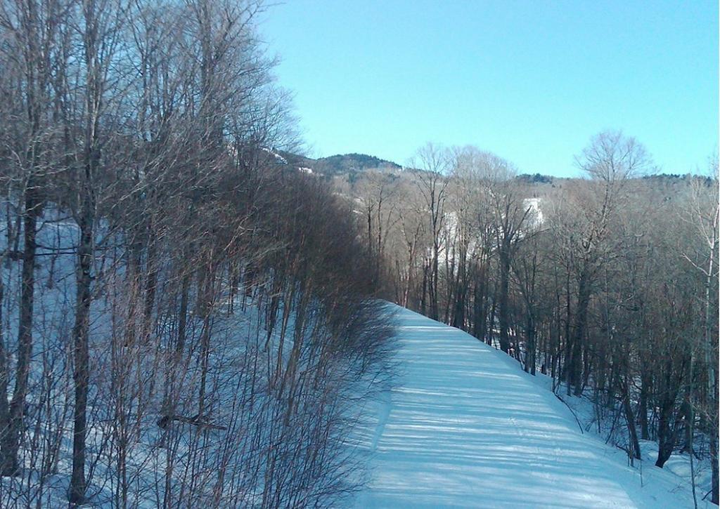 Ski In/Out Trailside Townhome Killington Exterior foto